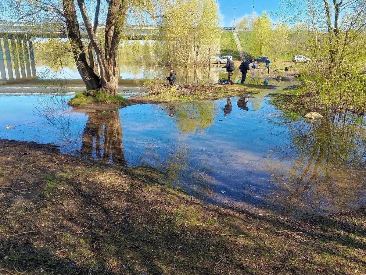     Источник: properm.ru