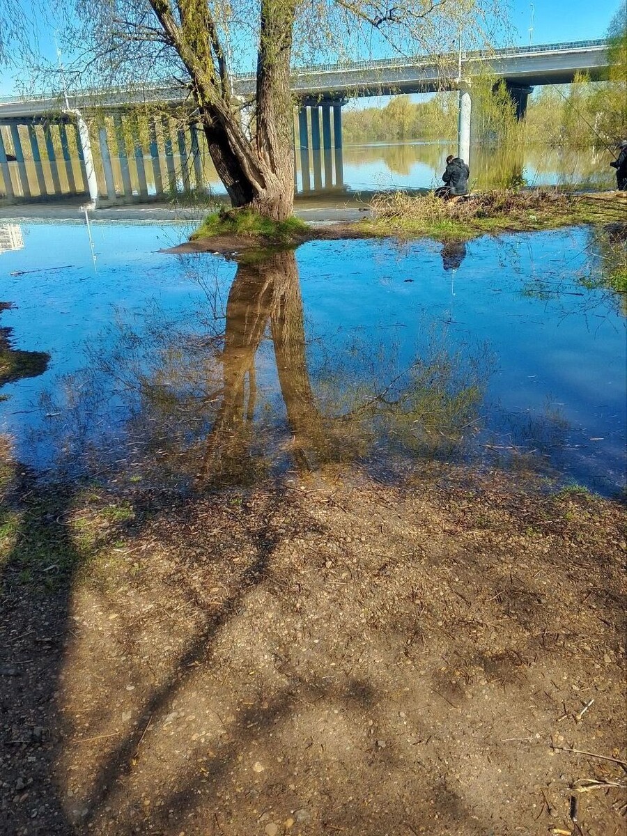     Источник: properm.ru