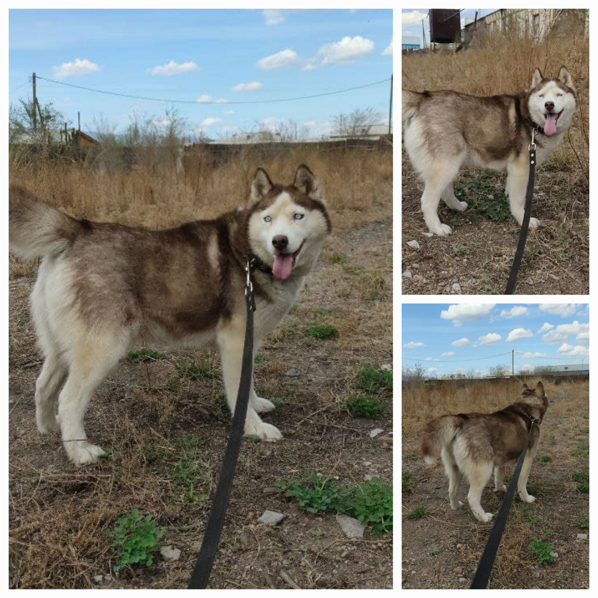 Ну ведь и правда- красавица!!!