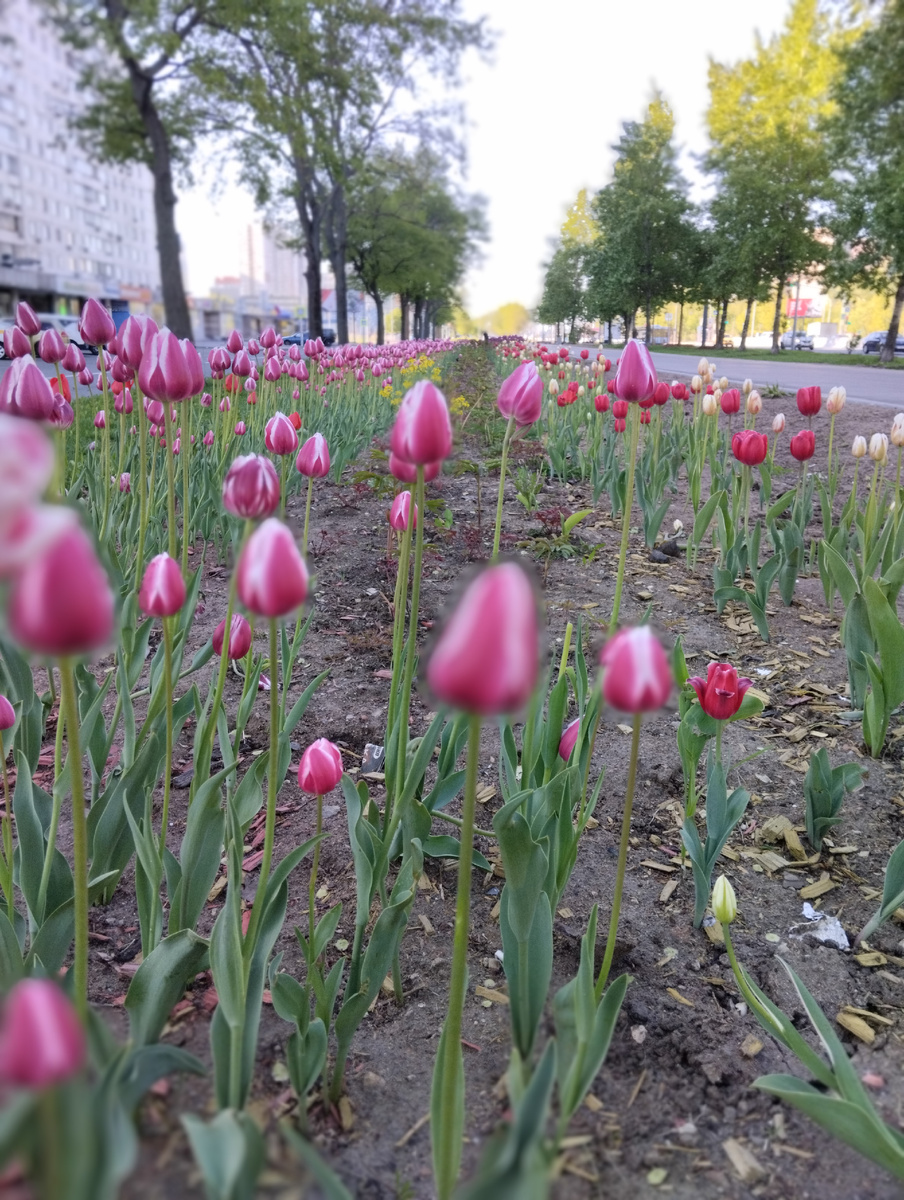 Фото автора 