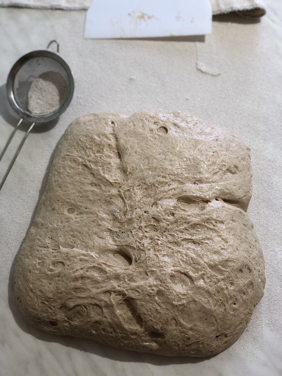 тесто после основной ферментации