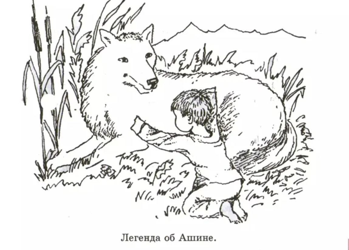 Источник сеть