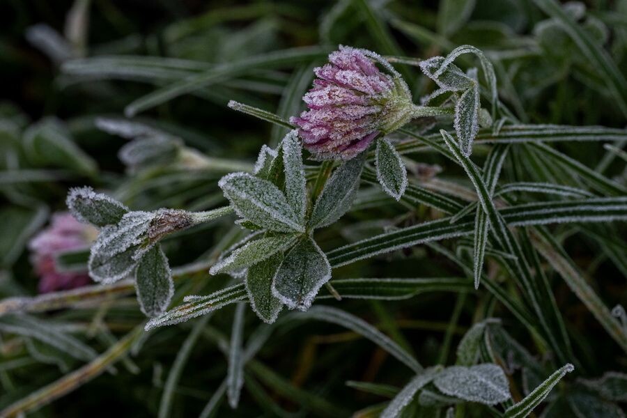     / Источник: © DAREK DELMANOWICZ/EPA/ТАСС