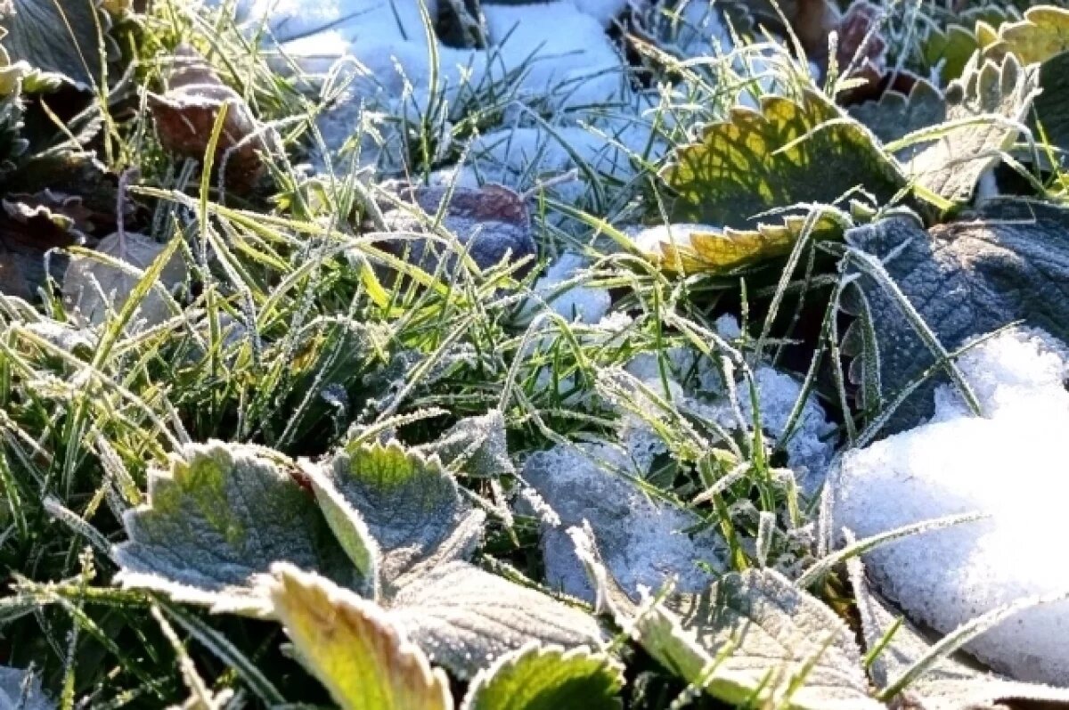    В Ярославской области до 13 мая действует оранжевый уровень опасности