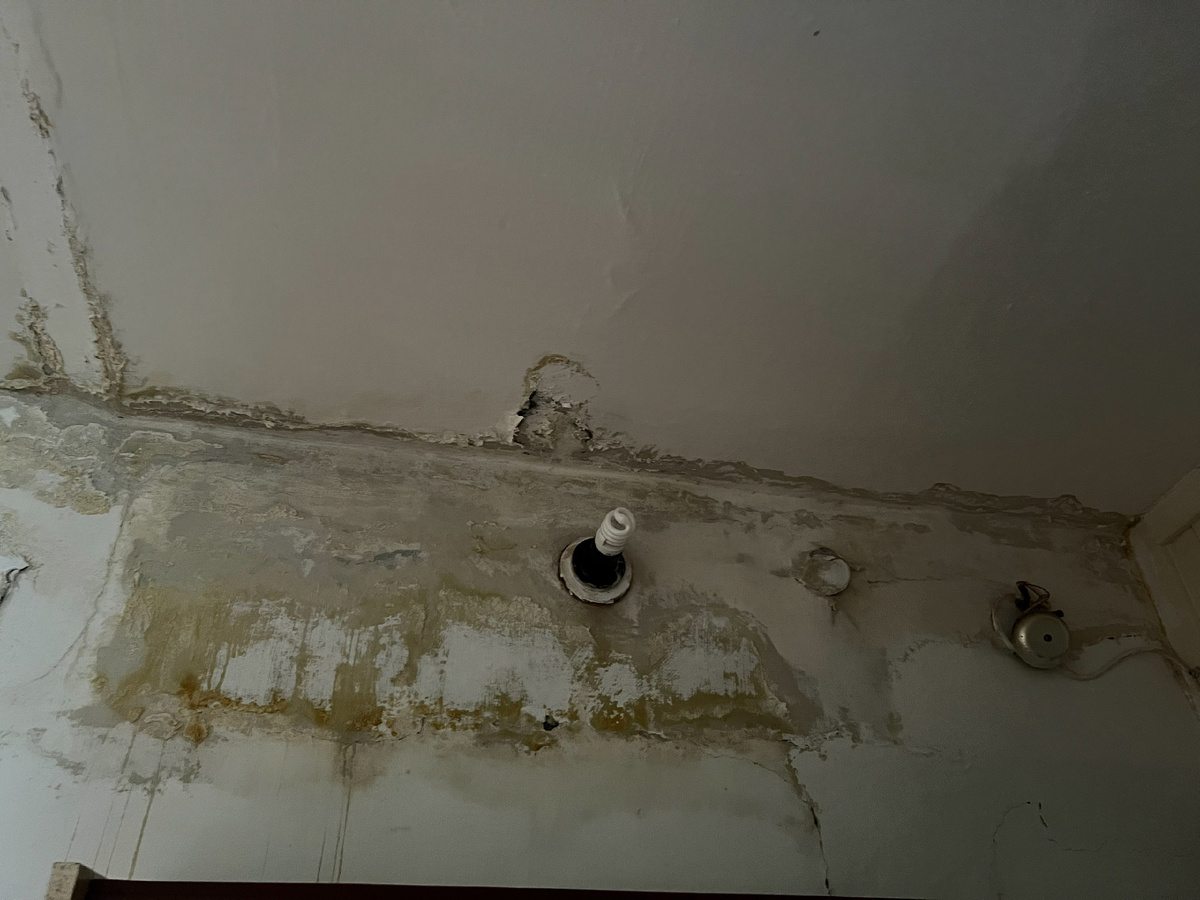 Фото: Юлия Д.