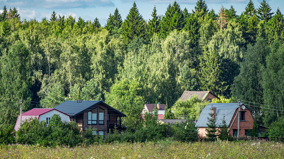     Россиянам рассказали, как бесплатно получить дачу или землю от государства ИЗВЕСТИЯ/Константин Кокошкин
