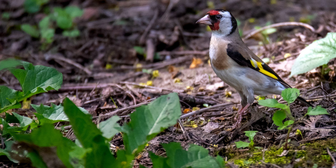 Парк победы на Затоне. Краснодар.