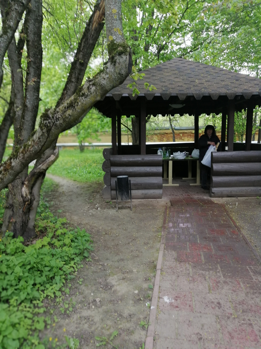 Фото автора Это наша беседка под шашлыки, хорошее место, жаль погода подкачала. 