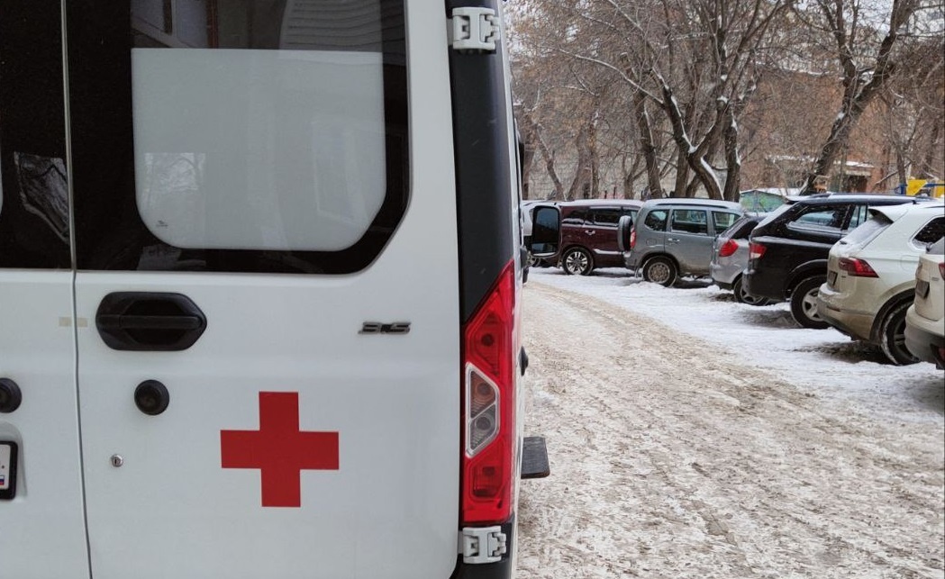 Фото: МК Новосибирск