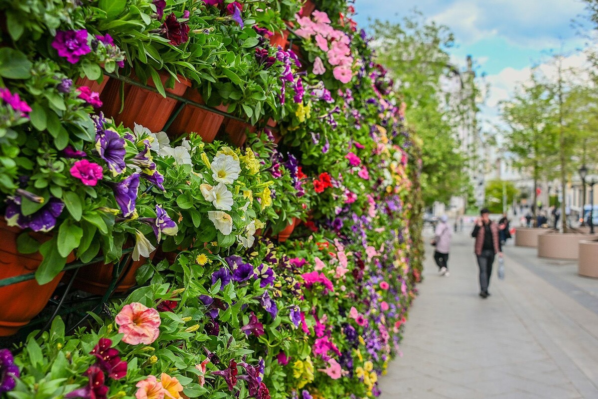   Фестиваль «Сады и цветы» представил летние прогулочные маршруты
