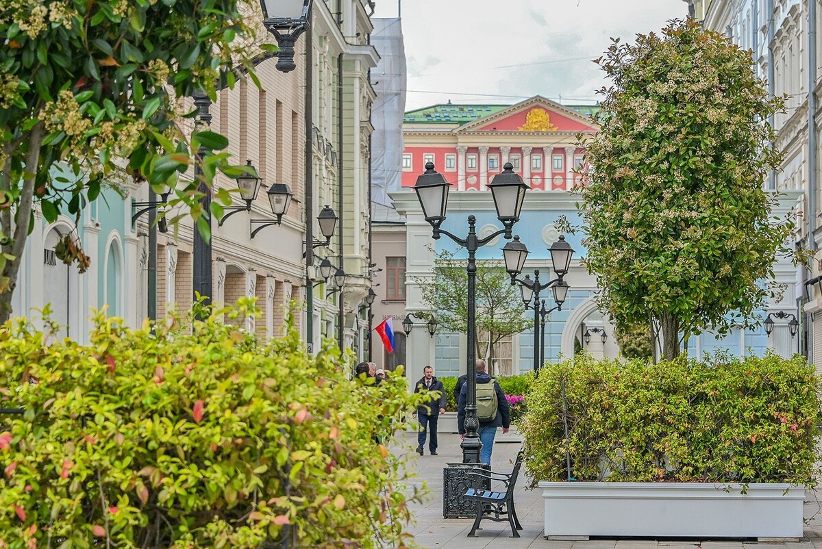    Фестиваль «Сады и цветы» представил летние прогулочные маршруты