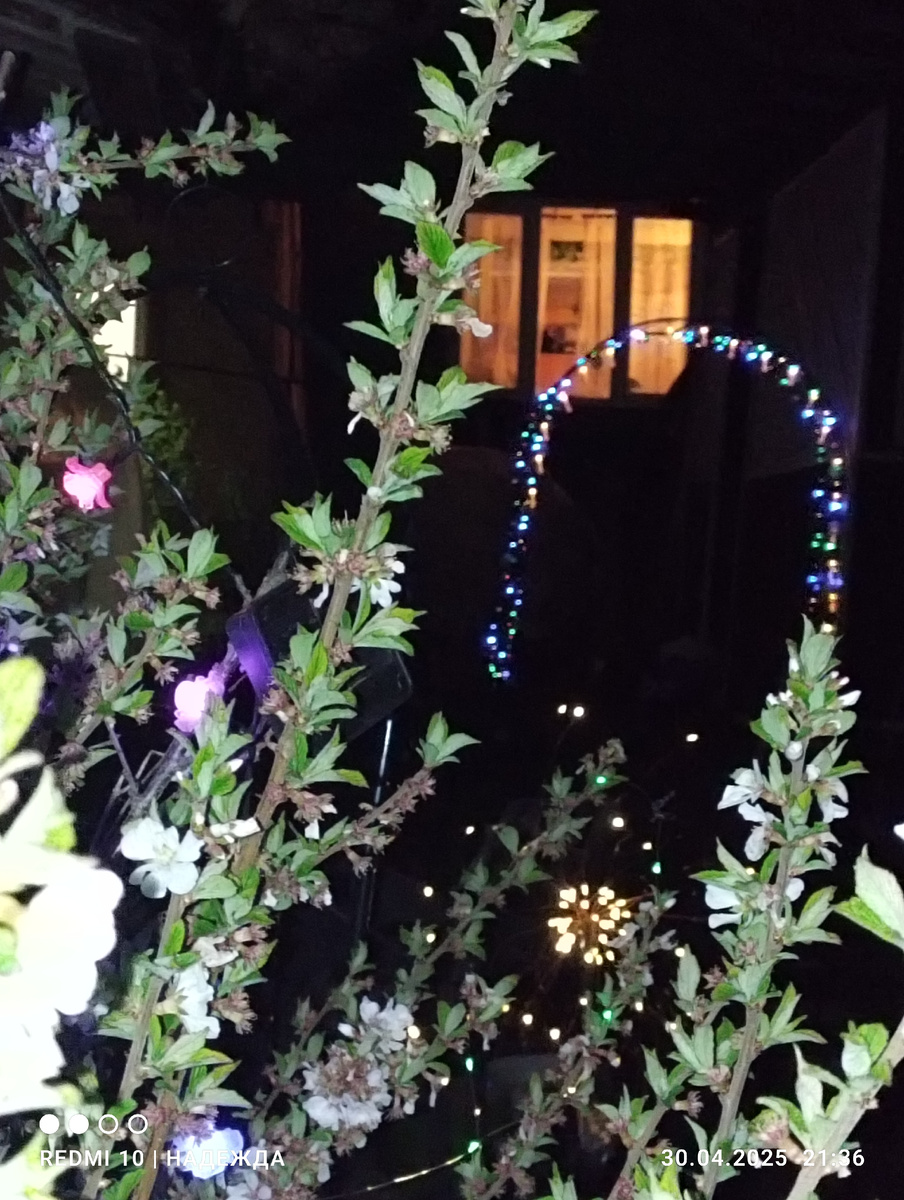 Для меня интереснее развесить фонарики на деревья, чем под каждый куст помидоры положить удобрение. 