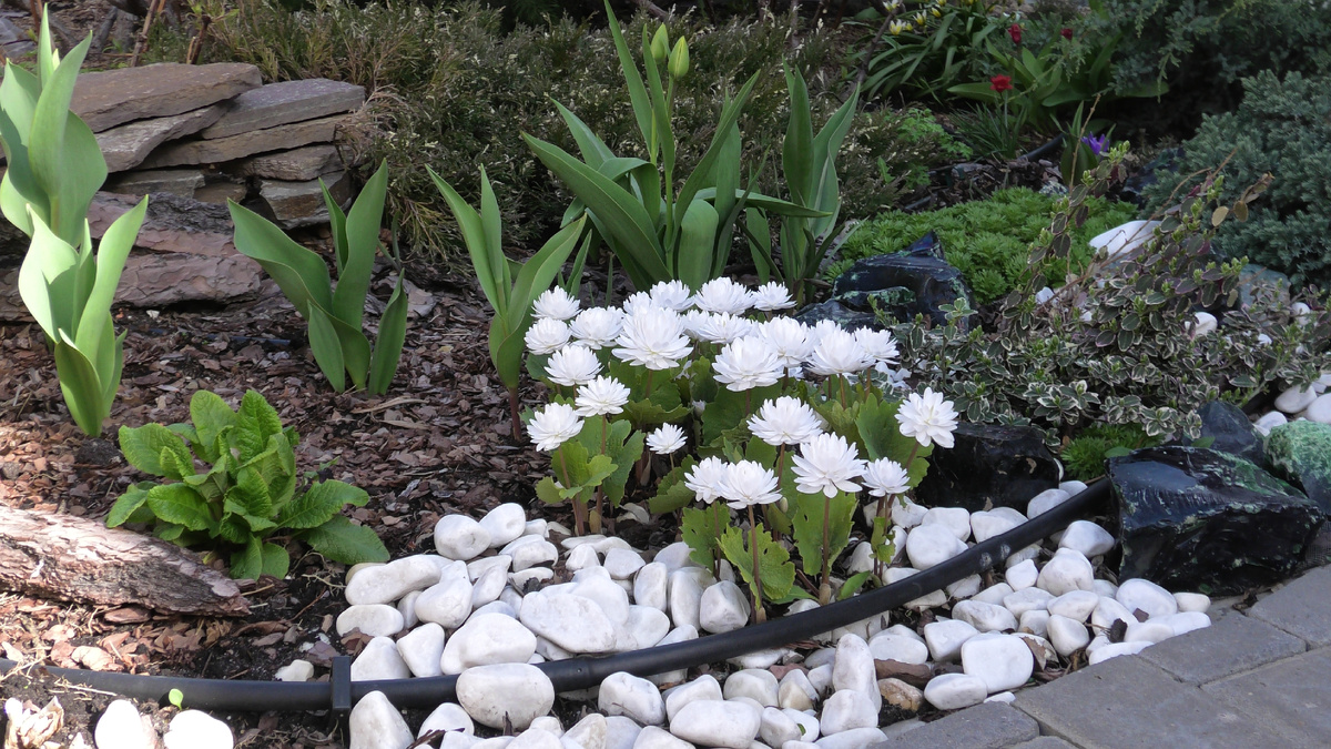 Фото автора канала Дом с кипарисами