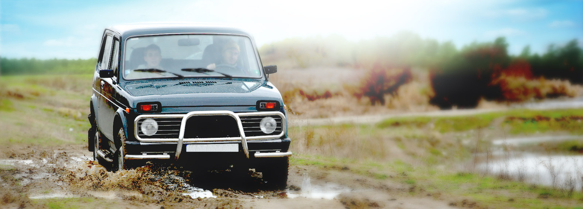 Нива на бездорожье