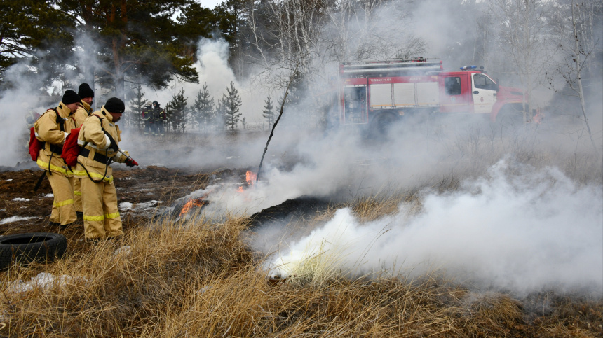    Фото: © РИА Новости/Евгений Епанчинцев; 5-tv.ru