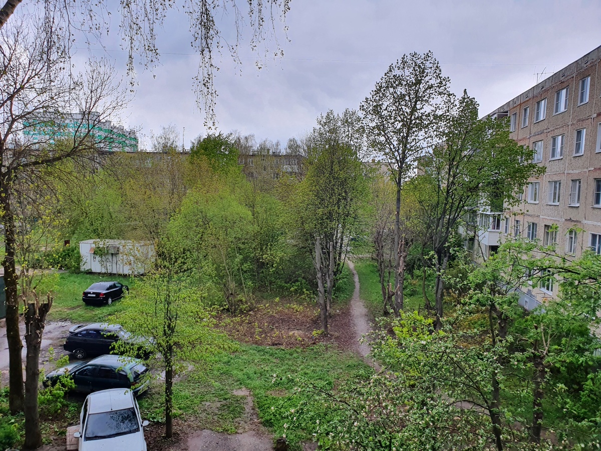 Пасмурно, но зелененькое