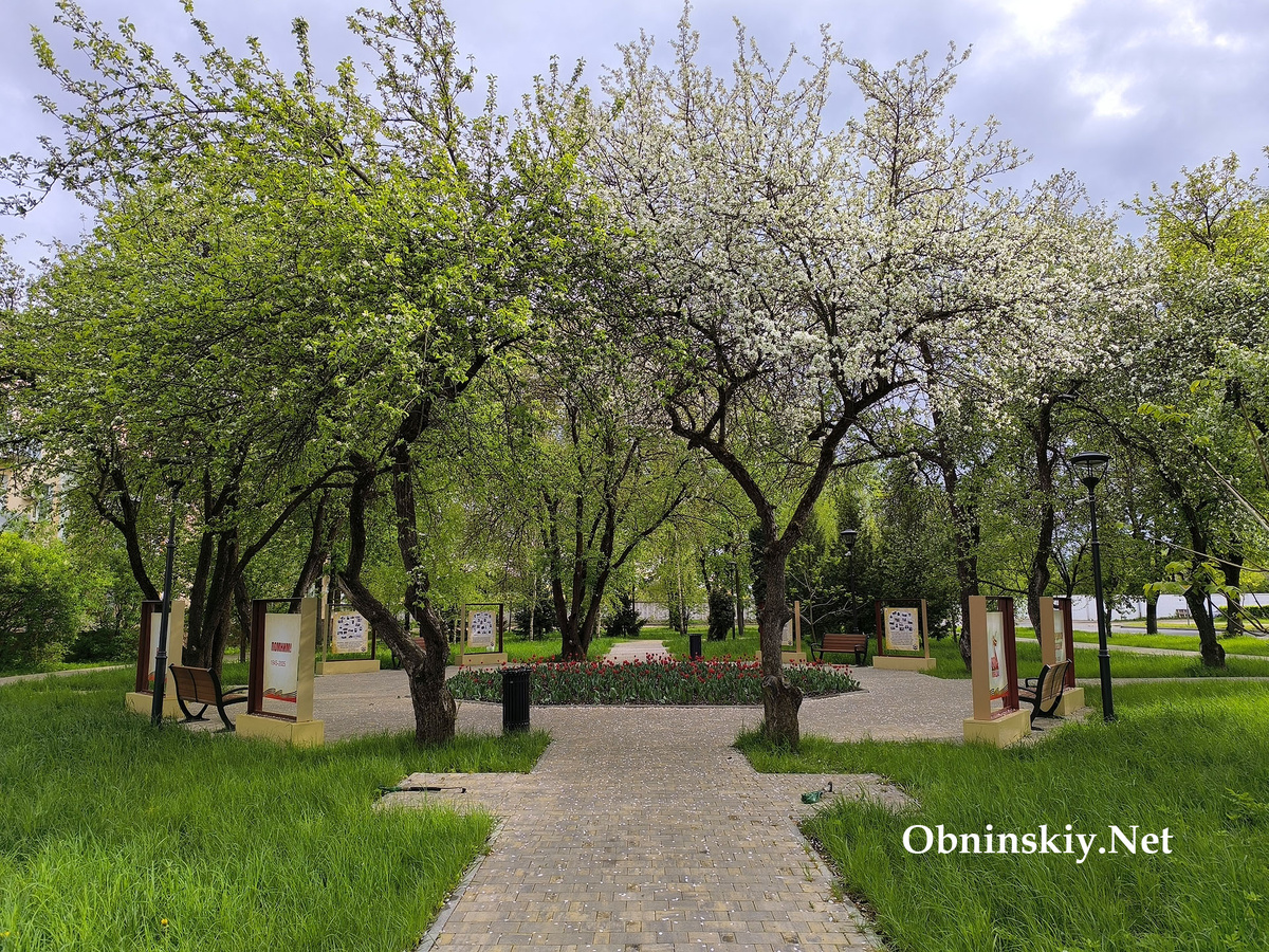 Сквер памяти им. Стефании Алексеевны Кудрявцевой