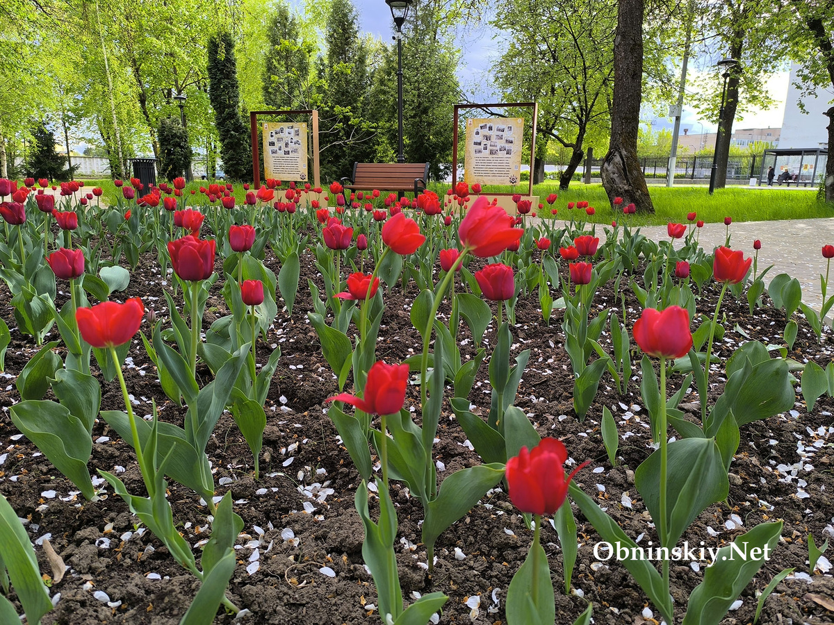 В сквере памяти им. Кудрявцевой открылась фотовыставка