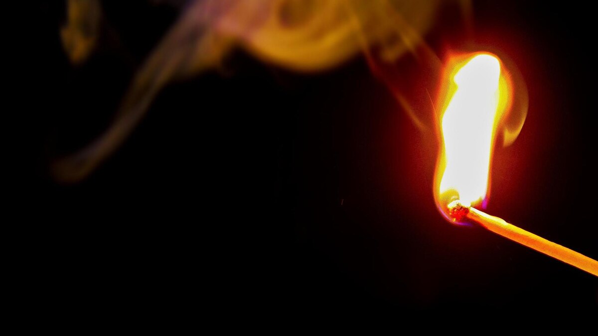    Фото: pixabay.com