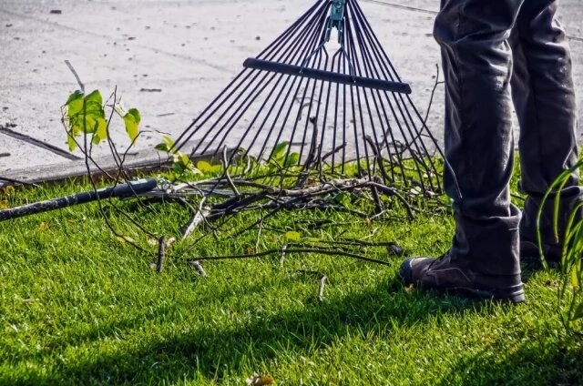    Можно ли выкинуть в мусорку обрезанные ветки деревьев?