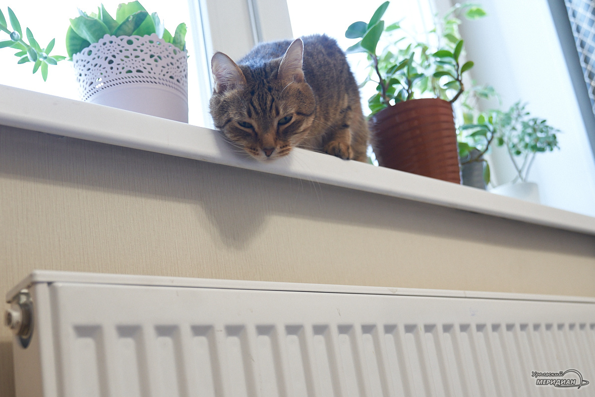    Фото: Лидия Аникина © ИА «Уральский меридиан»