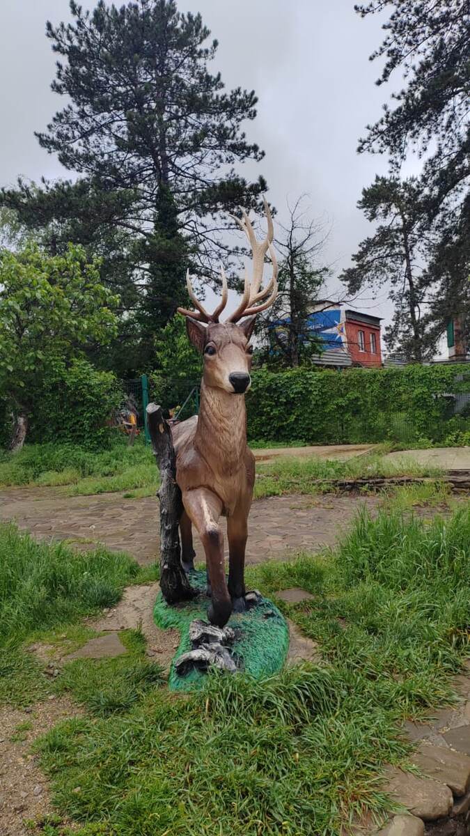 Вези меня олень.....