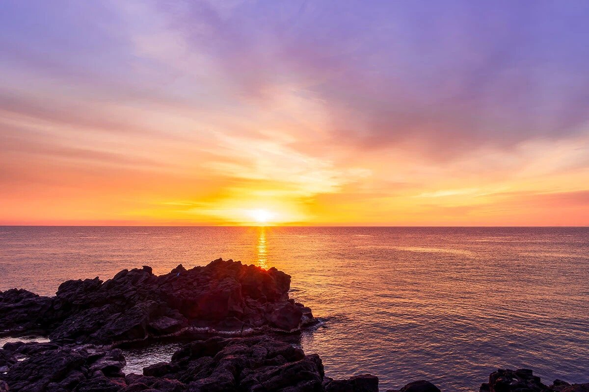    Фото: Photo Magistr / Shutterstock.com