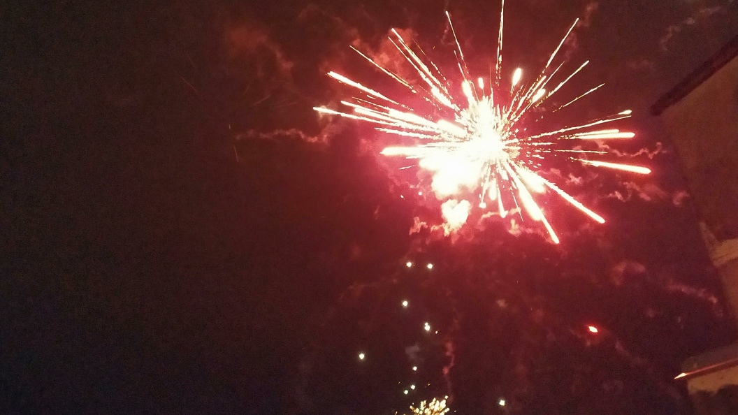    Фото: Виктор Лисицын/Globallookpress.