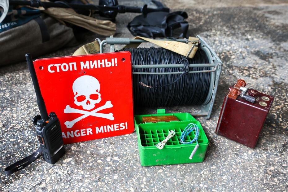    Наталья Шатохина/NEWS.ru