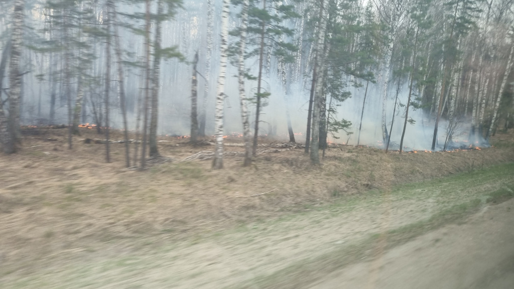    В Югре за прошлую неделю потушили два ландшафтных пожара