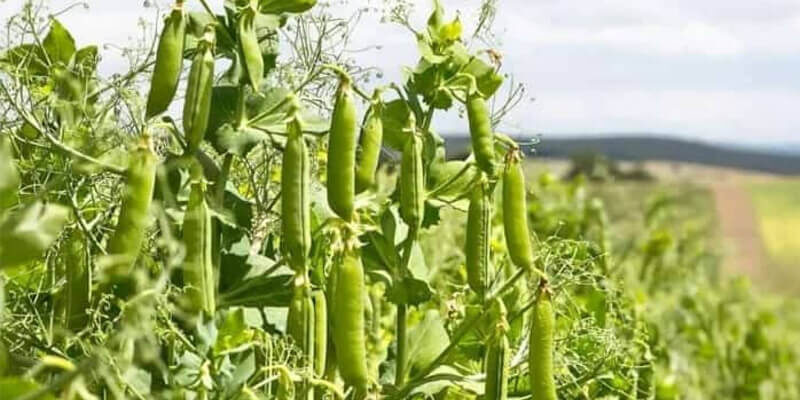 фото из свободного источника интернета