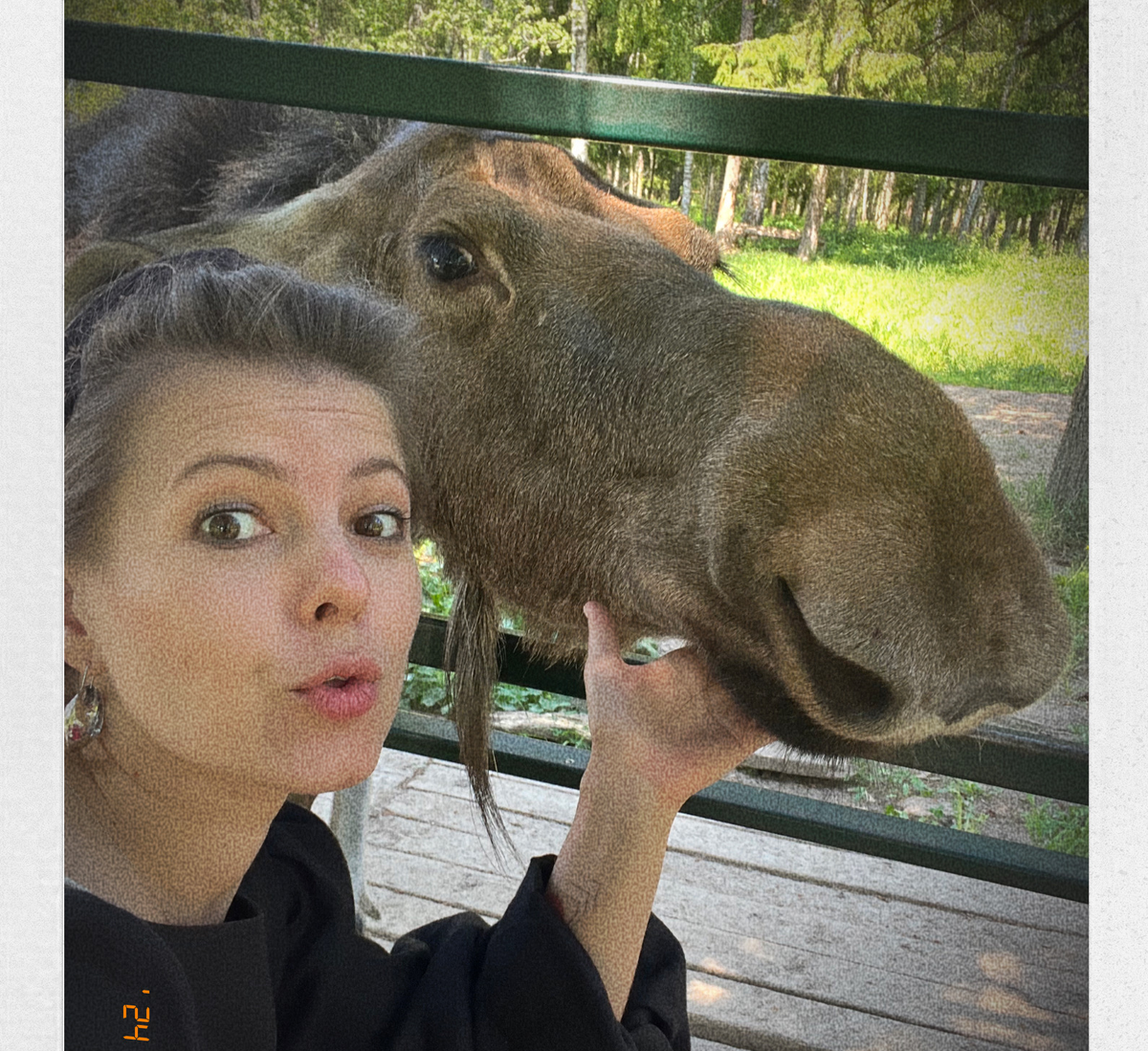 Мы с лосем подтверждаем