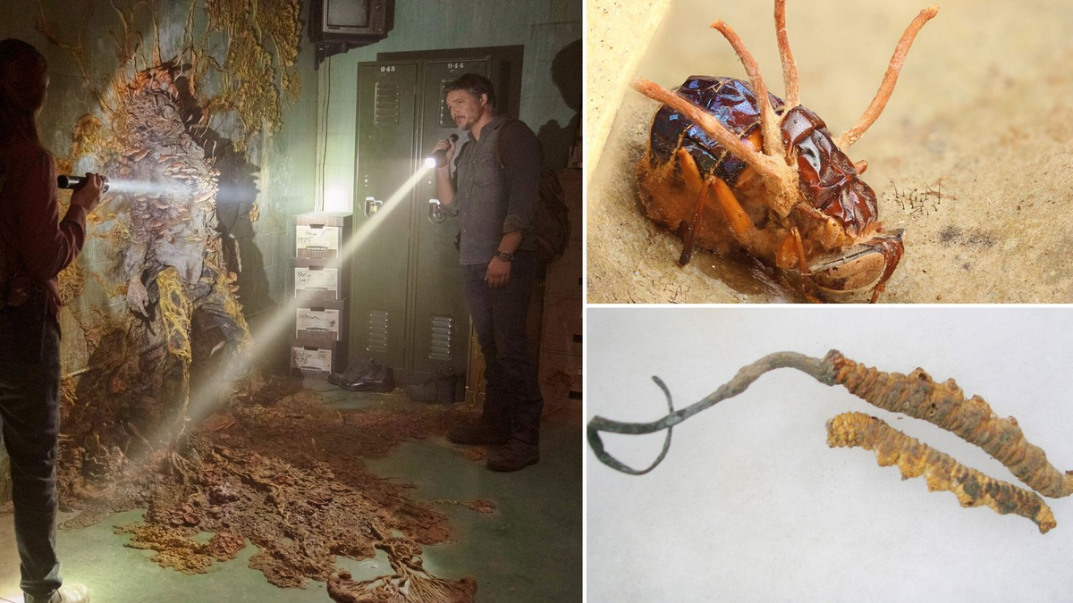 Изображение: HBO/Warner Media/Liane Hentscher