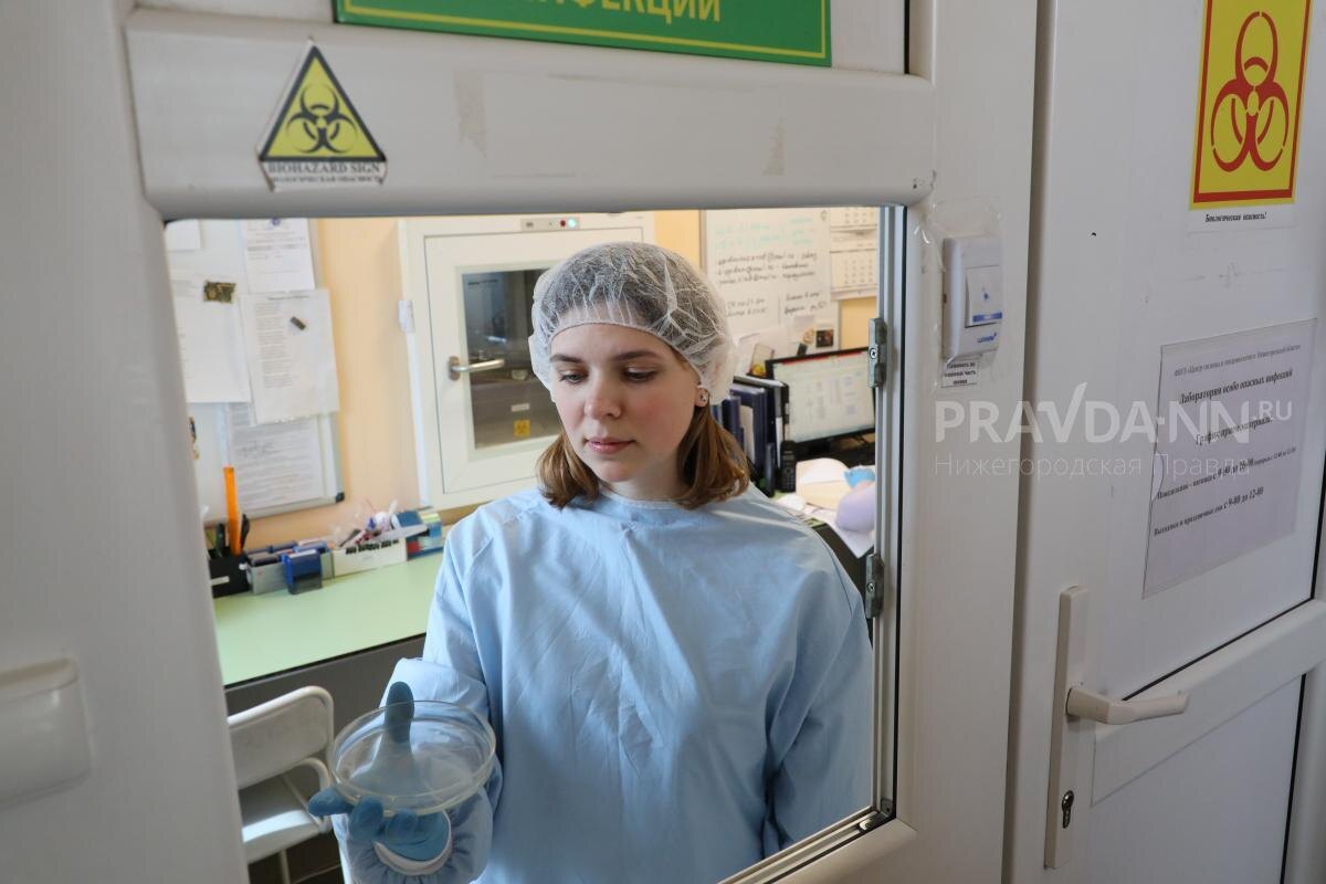    С начала года два жителя Нижегородской области заразились от клещей боррелиозом