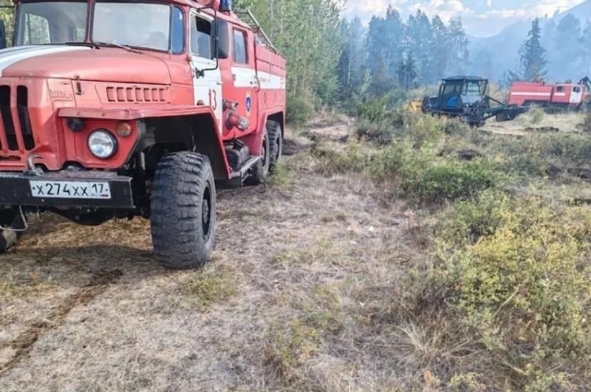    В Минприроды Коми рассказали, как тушили первый в сезоне лесной пожар