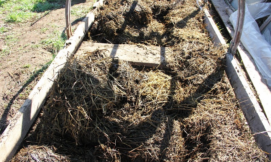 Заправка для грядки под огурцы: показываю толстую ошибку и свой метод