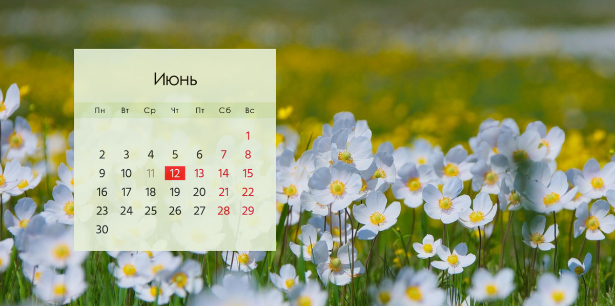 Лунный календарь посадок на июнь 2025