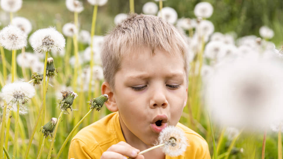 Фото: Алексей Смышляев / Коммерсантъ