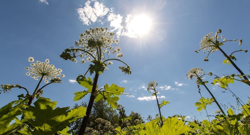    Медиасток.рф