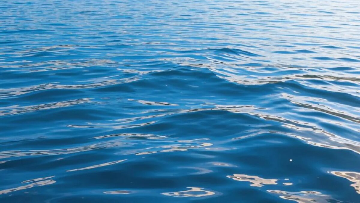    Сгенерировано ИИ