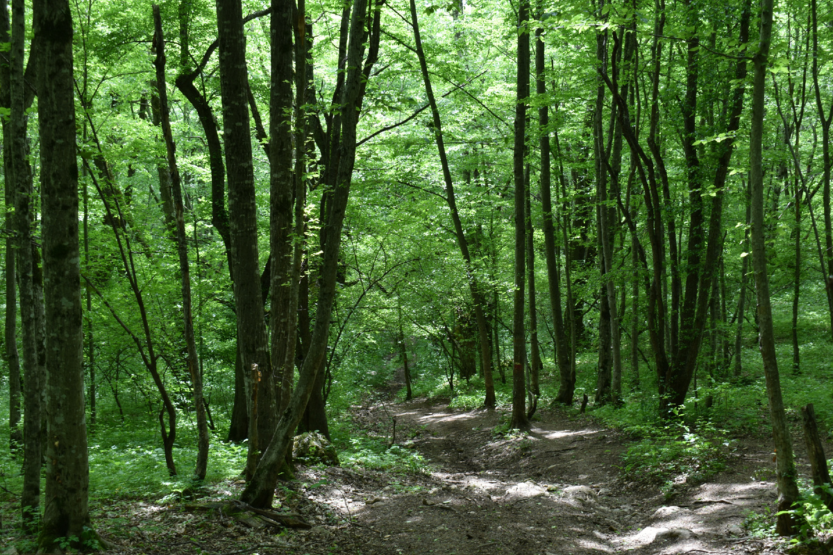 Тропа к хребту Уна-Коз