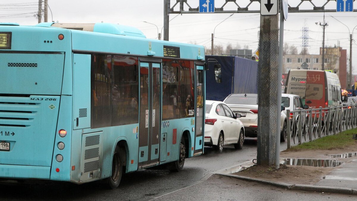    Фото: Maksim Konstantinov/globallookpress.com