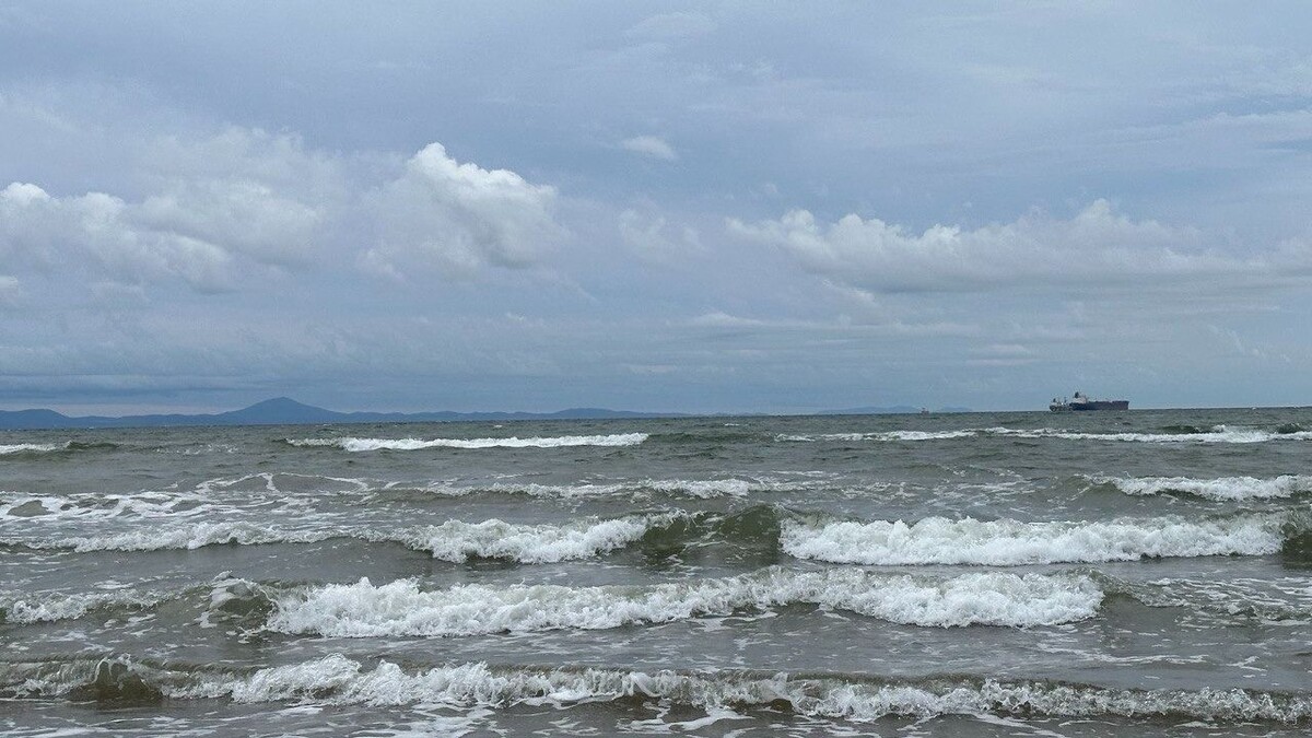     Источник: vostokmedia.com