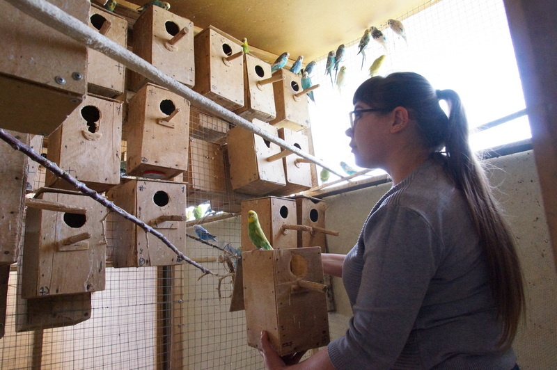 Мария Литвинова показала нам святая святых – птичий роддом. / Фото А. Толстых