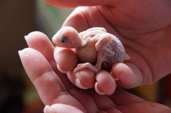 Фото А. Толстых 