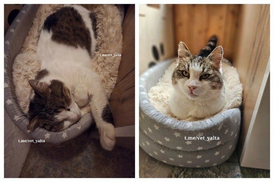 Фото: Светлана Власенко