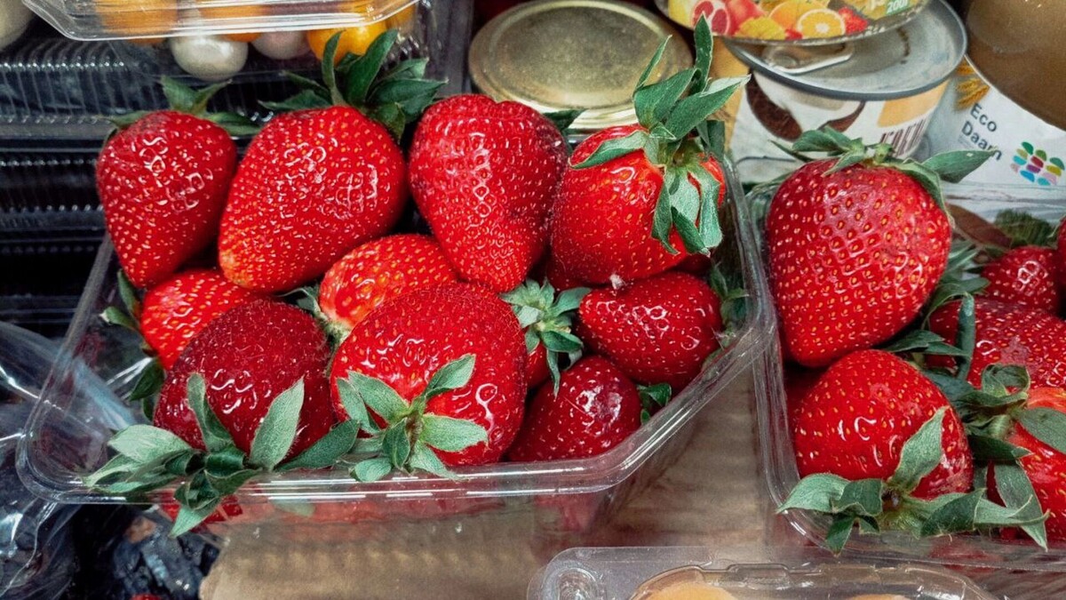     Источник: 1MI