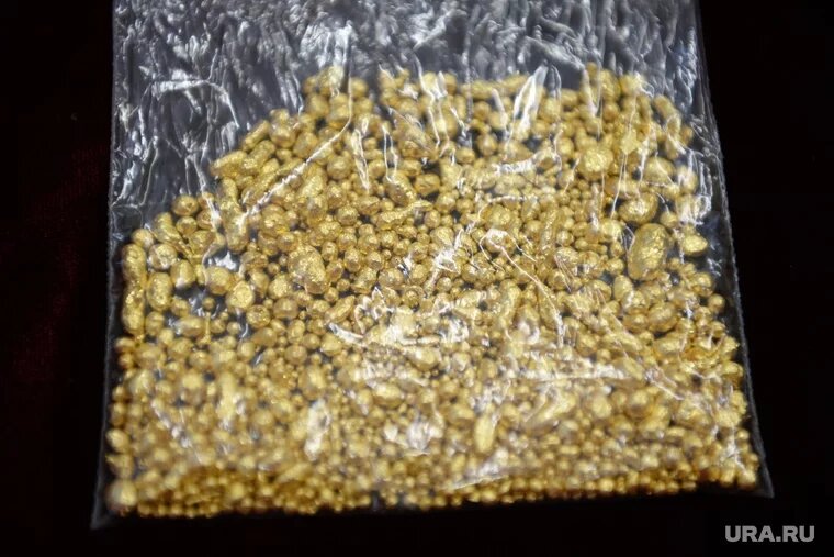 Борцы с коррупцией якобы крышевали золотодобытчиков. Фото: Евгений Кузнецов © URA.RU