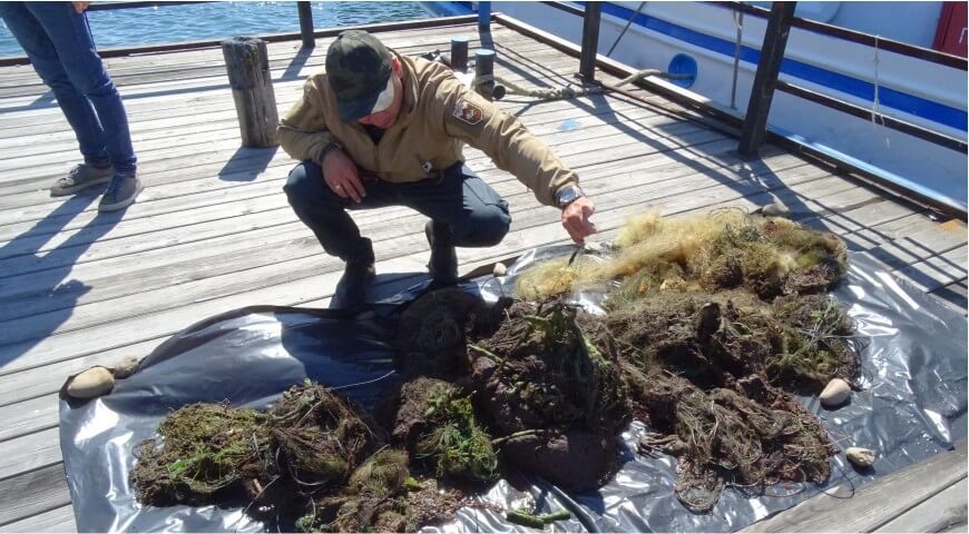    Фото: ФГБУ «Заповедное Прибайкалье»