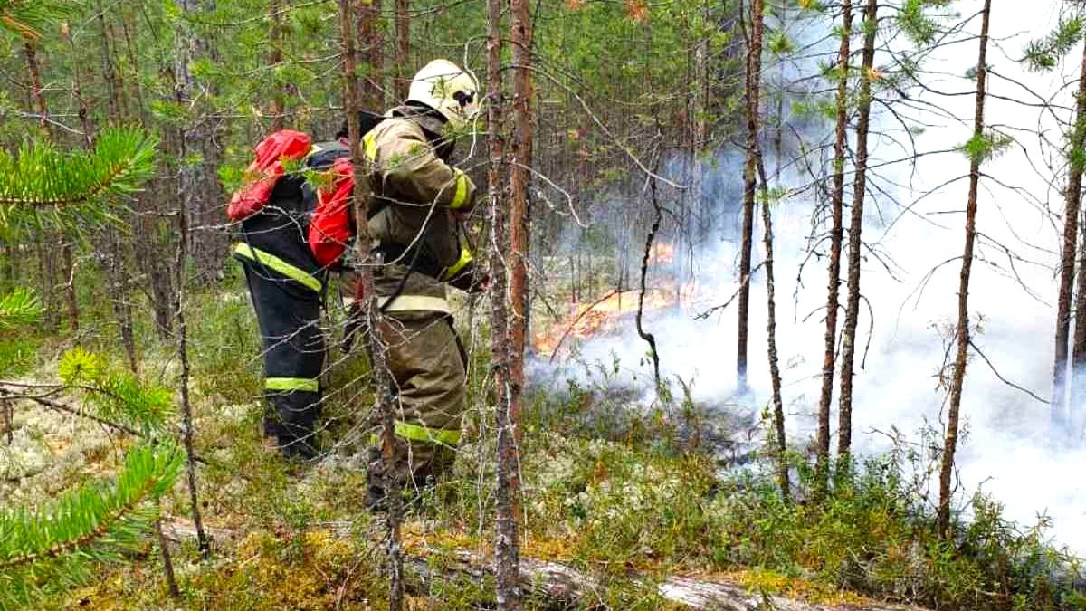    В Югре за прошедшую неделю ликвидировали два ландшафтных пожара